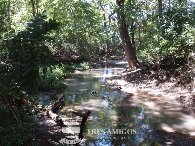 CAÑAS TILAPIA FARM Playas del Coco Properties Costa Rica Real Estate